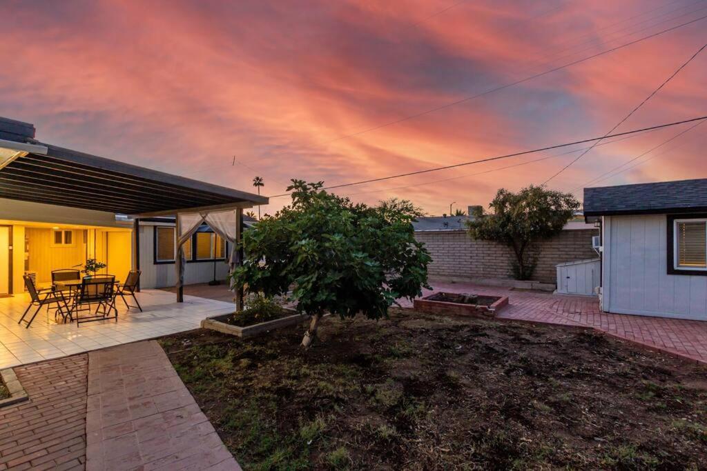 New Midtown Modern Studio With Backyard Phoenix Eksteriør billede