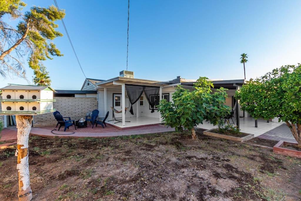 New Midtown Modern Studio With Backyard Phoenix Eksteriør billede